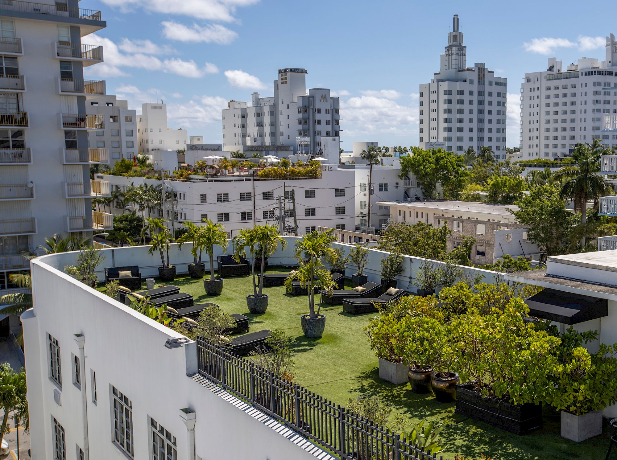 Rooftop terrace garden with manicured grass, potted plants, lounge chairs, and a skyline of high-rise buildings under blue skies.