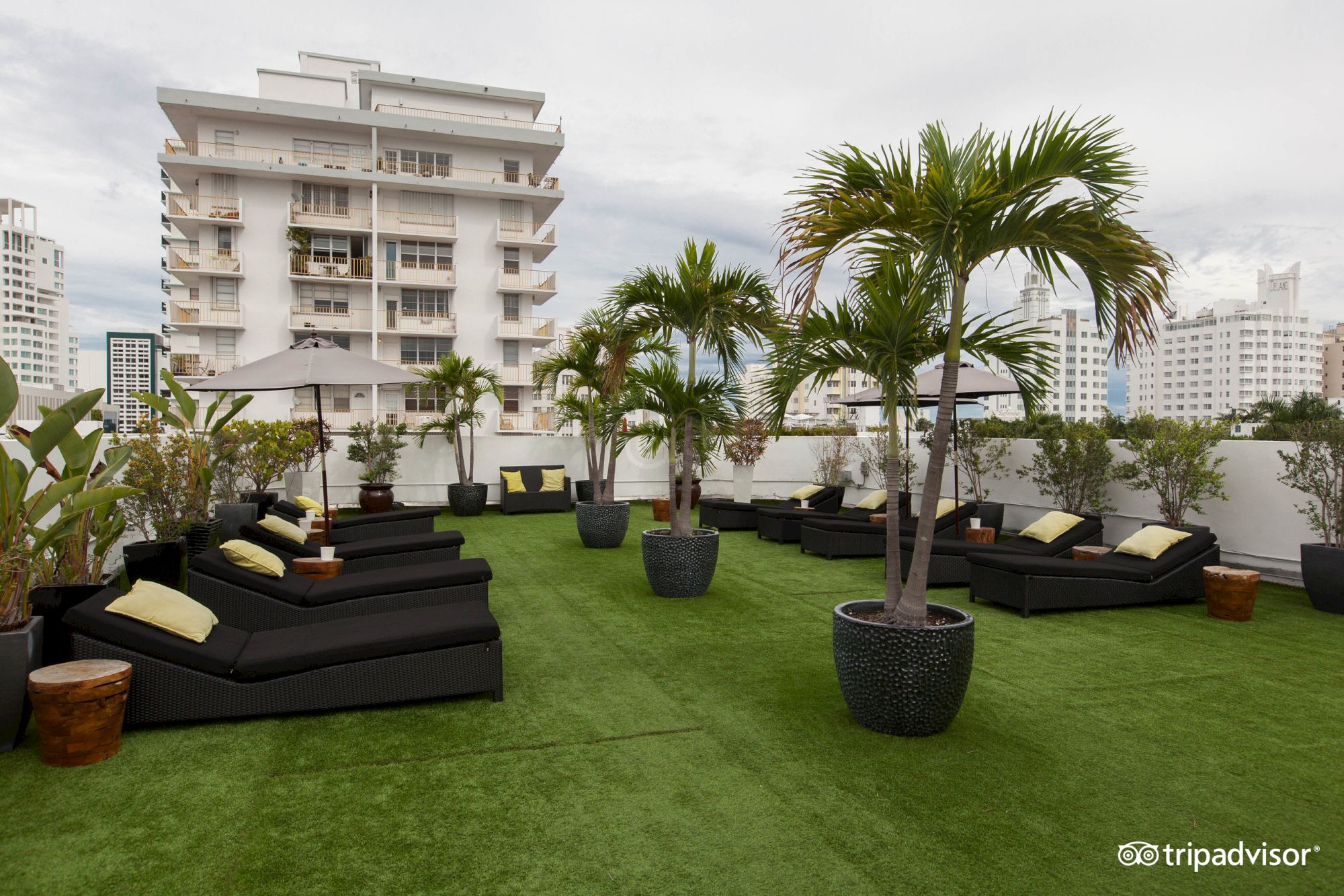 A rooftop terrace with lush green lawn, lounge seating, umbrellas, and tall palm trees beside city apartment buildings.