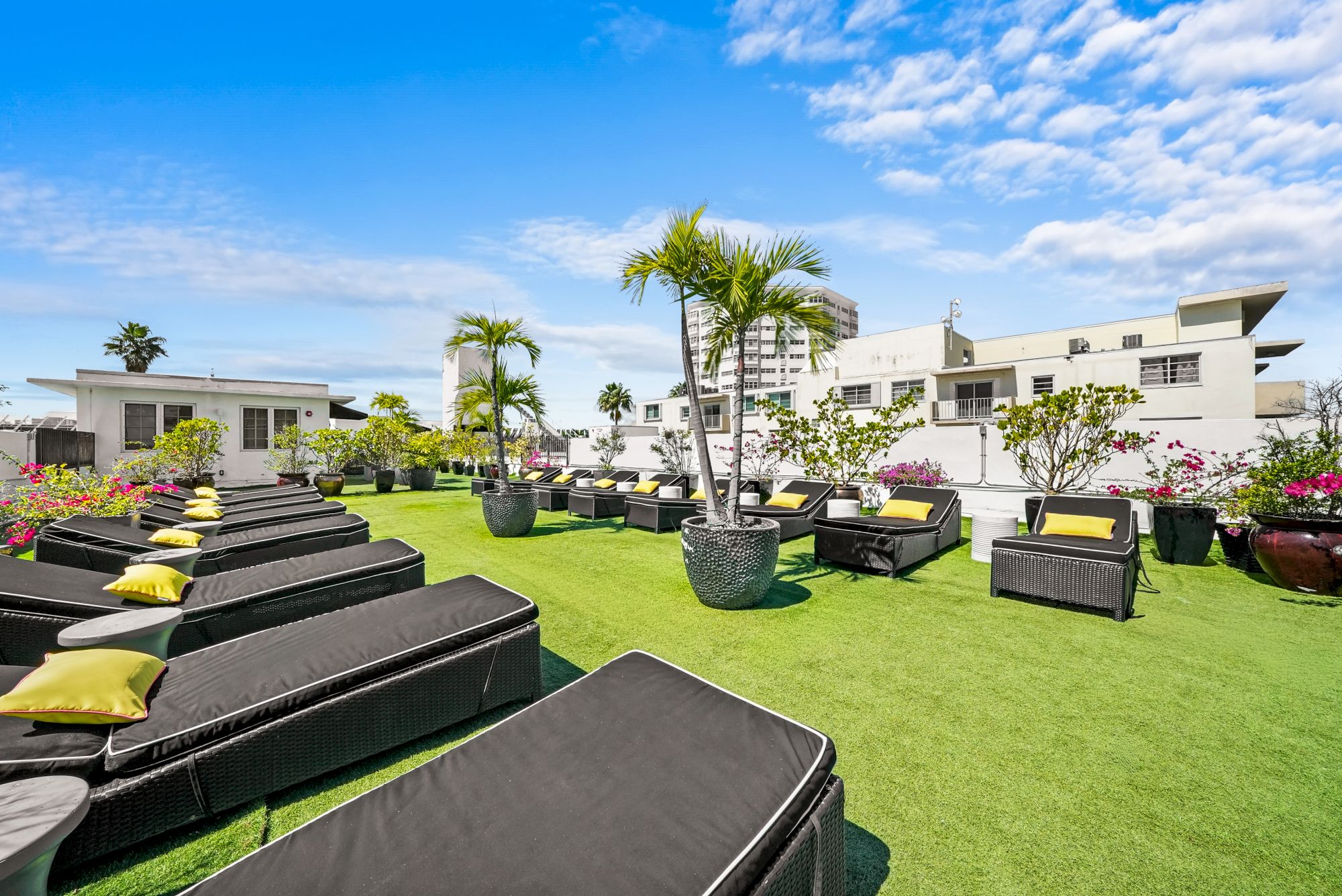 Sunny resort courtyard with a green lawn, yellow-cushioned lounge chairs, potted plants and palm trees beside white apartment buildings.