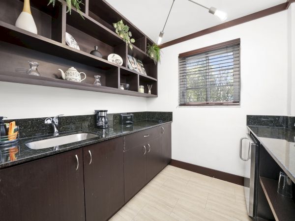 A modern kitchen with dark cabinets, granite counters, a sink, kettle, and open shelves with d&eacute;cor and plants, plus a window.