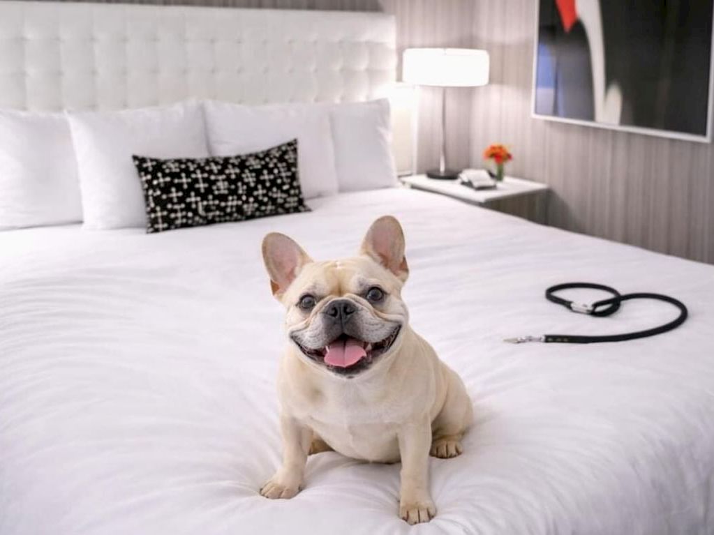 Lincoln Arms Suites
