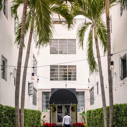A palm-lined courtyard with hanging string lights and a man walking toward a building entrance.