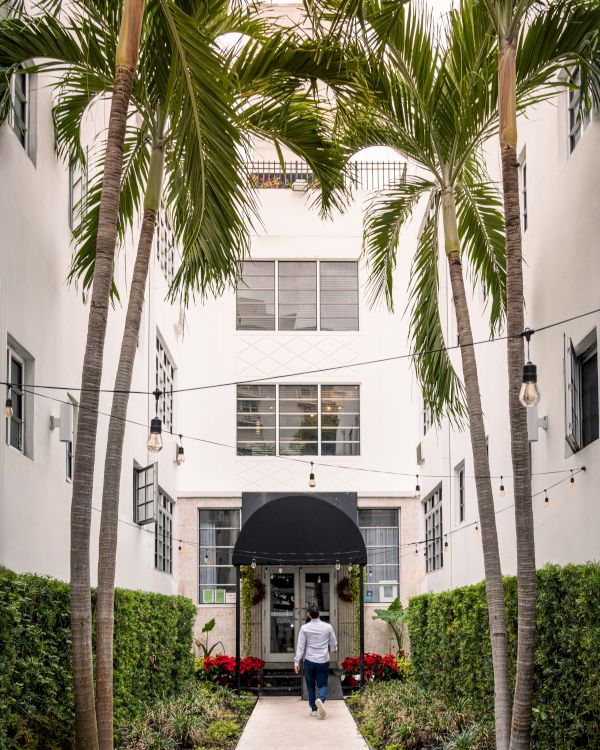 A palm-lined courtyard with hanging string lights and a man walking toward a building entrance.