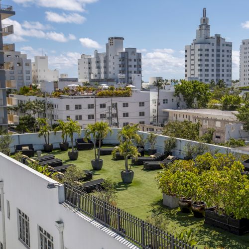 Rooftop terrace with a green lawn, potted trees, and lounge chairs overlooking high-rise buildings under a blue sky.